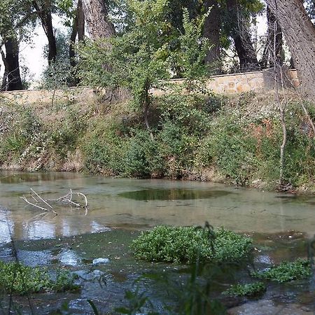 Hostal Rural El Nacimiento Deifontes المظهر الخارجي الصورة