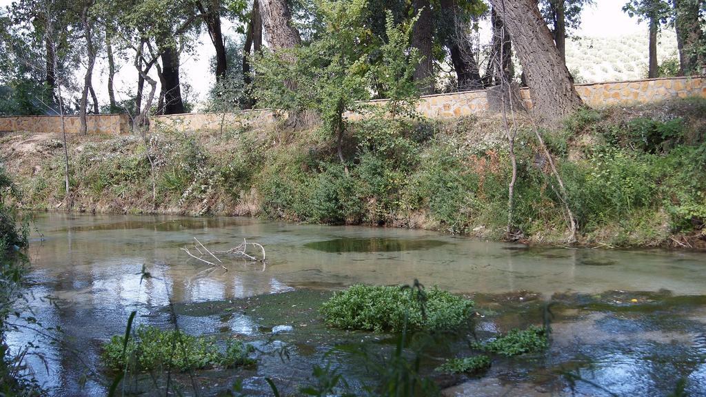 Hostal Rural El Nacimiento Deifontes المظهر الخارجي الصورة