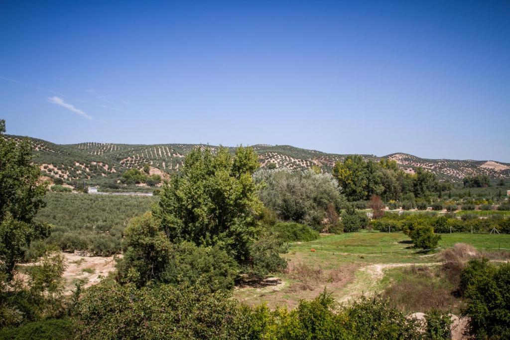 Hostal Rural El Nacimiento Deifontes المظهر الخارجي الصورة